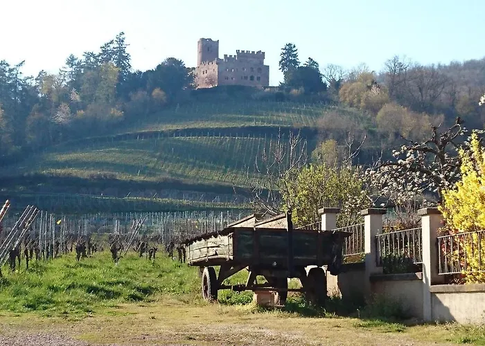 Entre Histoire Et Terroir - 2 De Charme Daire